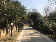 -西山人家·二十年老字号农家菜(旺山店)