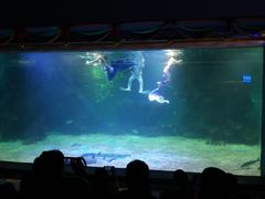 -石家庄海洋公园