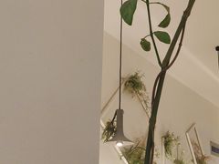 -春树下·树屋花房西餐厅(罍街AS1980店)