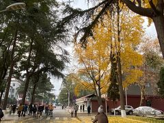 -四川大学(望江校区)