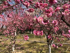 -白塘生态植物园