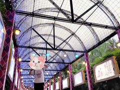 -广州长隆国际大马戏