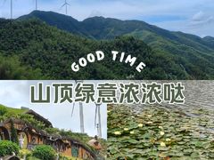 -仰天湖大草原