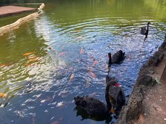 -海南热带野生动植物园