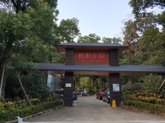 -梧桐庄园