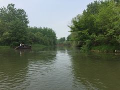 -溱湖国家湿地公园