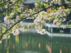 -棠湖公园