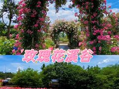 -都江堰玫瑰花溪谷