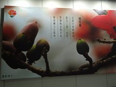 -惠如楼(白云机场T1主楼一层店)