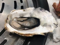 -睿柏云酒店-餐厅