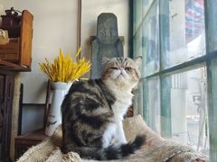 -参差咖啡(水果湖公园店)