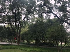 -杭州花家山庄