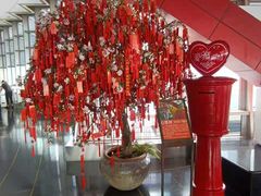 -上海金茂大厦88层观光厅