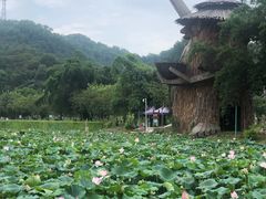 -红山村
