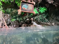 -台州海洋世界