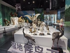 -中国湿地博物馆