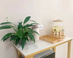 -酉嘉瑜伽YO+YOGA