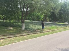 -永定河休闲森林公园