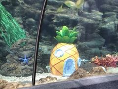 -南昌海洋公园