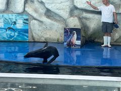 -泉州海丝野生动物世界