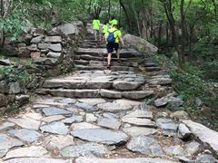 -北京鹫峰国家森林公园