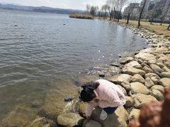-洱海月湿地公园