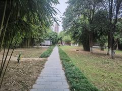 -堤角公园