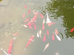 -石老人观光园