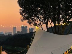 -东莞植物园