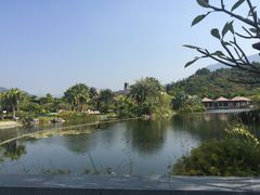-广州都喜泰丽温泉度假酒店