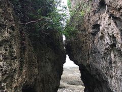 -鹅銮鼻公园