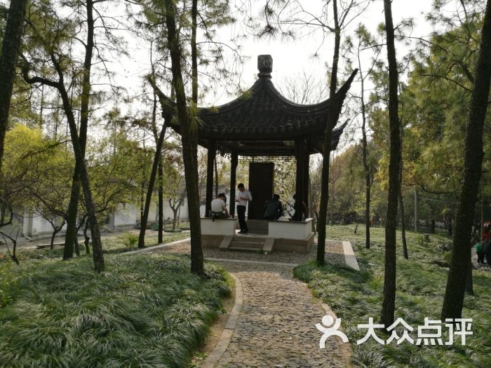 寒山别院图片 - 第27张