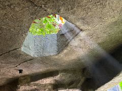 -青青世界