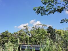 -四海公园(南山区)