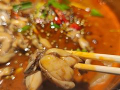 -宽口美蛙鱼头(大唐西市店)