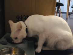 -Doors独立剧情密室(东门分店)