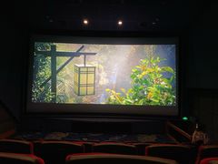 -飞扬影城(正佳IMAX店)