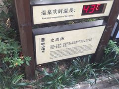 -天目湖涵田半山温泉
