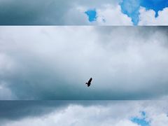 -黄河九曲第一湾