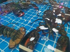 -胡家庙海鲜副食批发市场