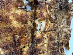 -北京龙庆四季香农家饭庄·灶台鱼·碳烤虹鳟鱼(龙庆峡店)