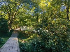 -上海佘山国家森林公园天马山园