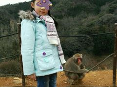 -岚山猴子公园