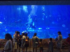 -华夏文旅海洋公园