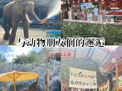 -野象谷景区