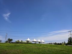 -紫颐香薰山谷景区