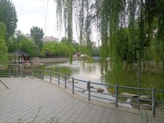 -莲湖公园