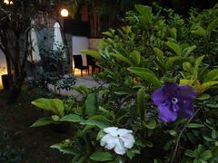 院子-厦门良筑精品酒店(厦门中山路店)