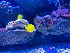-乌鲁木齐海洋馆