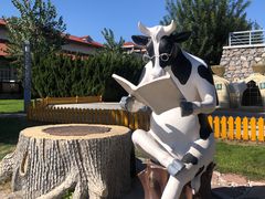 -君乐宝优致牧场